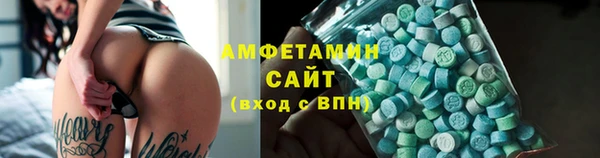 прущие грибы Беломорск