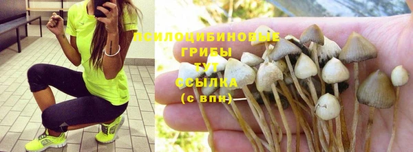 винт Елизово